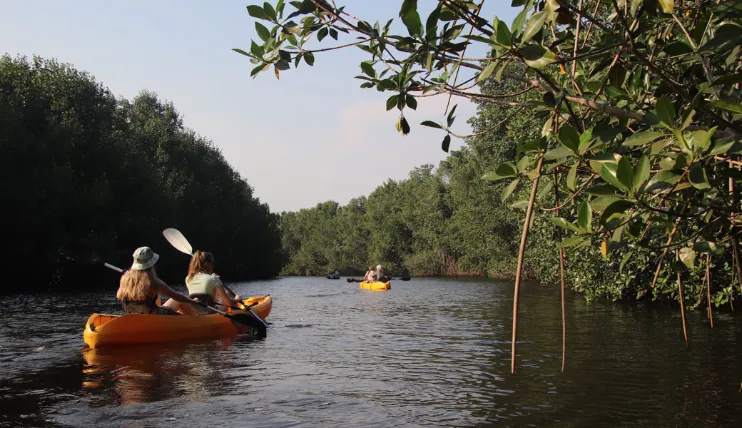 EL PARRANDÓN KAYAK TOUR